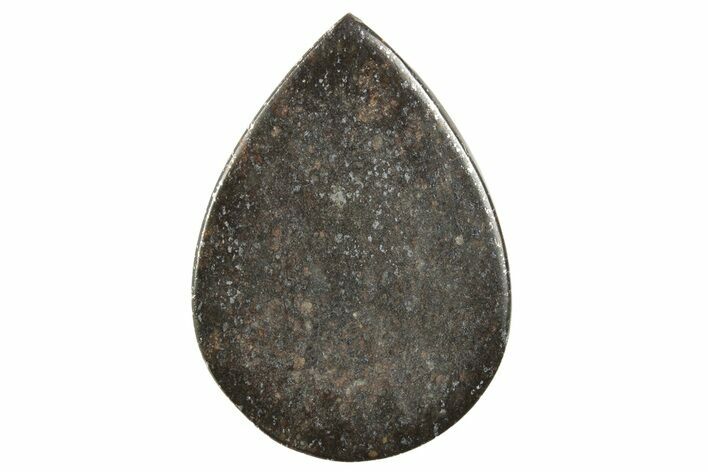 Stony Chondrite Cabochon ( grams) - Meteorite #238182